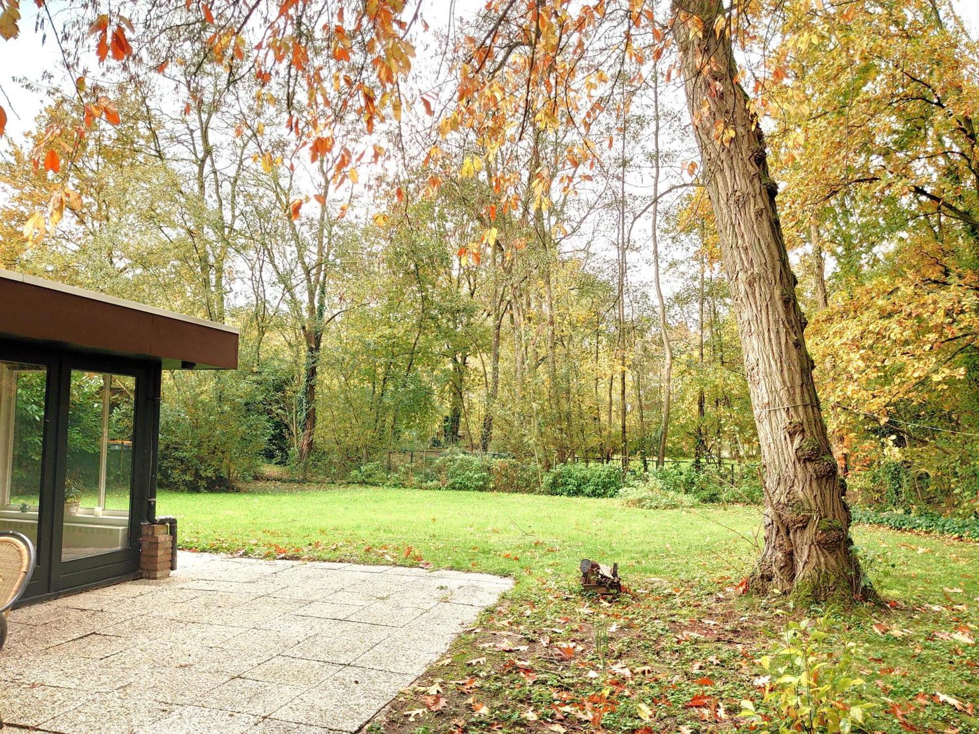 Vrijstaande Vakantiebungalow Met Optimale Privacy!!