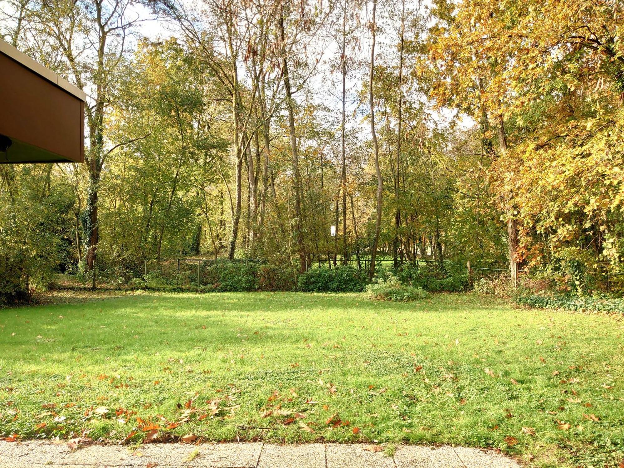 Vrijstaande Vakantiebungalow Met Optimale Privacy!! Rekem