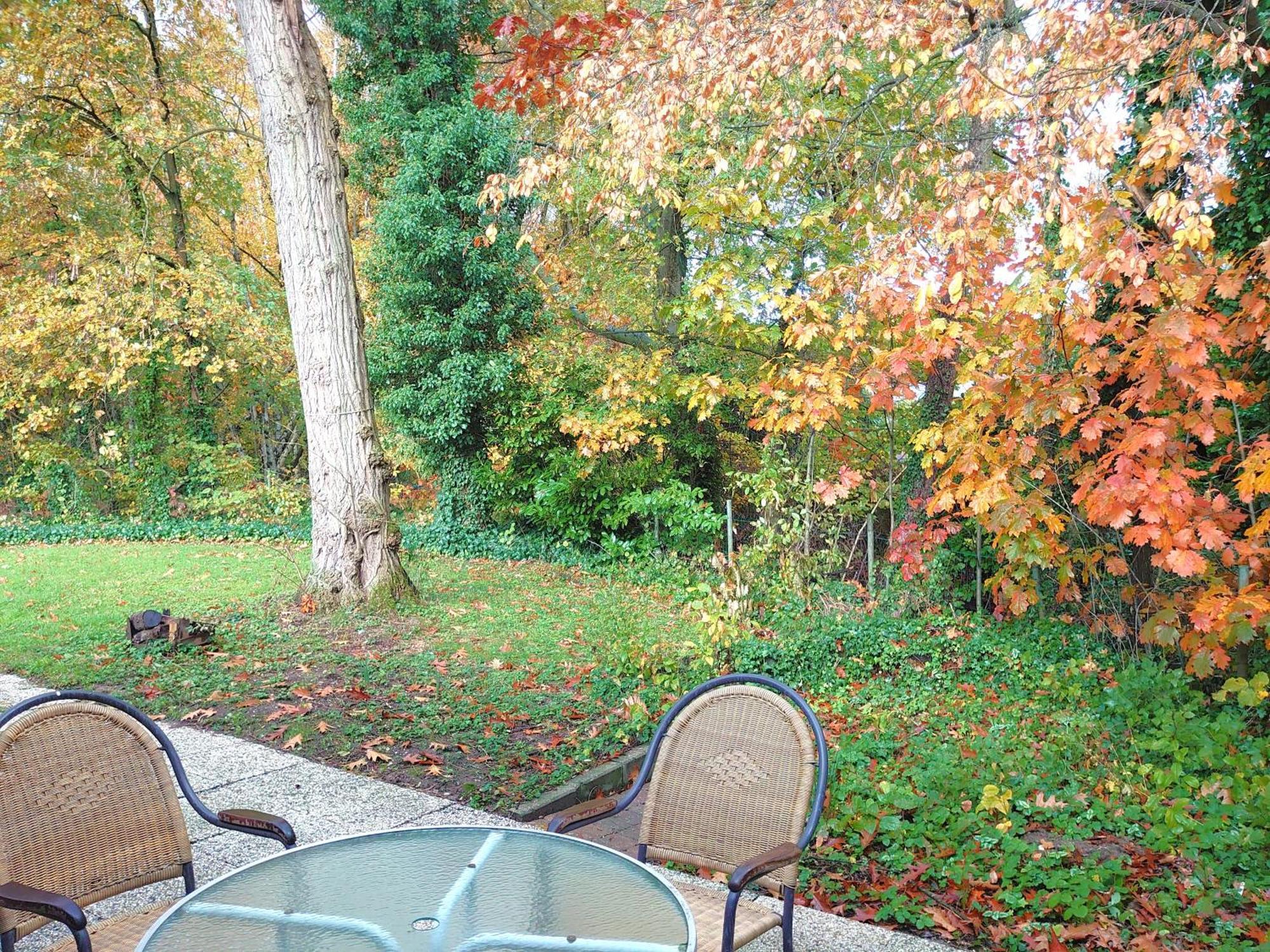 Vrijstaande Vakantiebungalow Met Optimale Privacy!! *